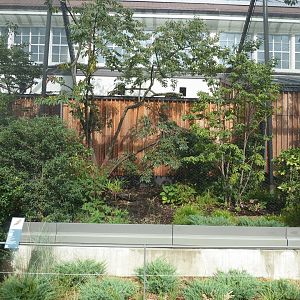 Birdhouse - Purple-naped Lory aviary