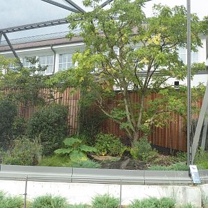 Birdhouse - Intermediate Hill Myna aviary