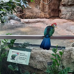 Stanley and his Sign