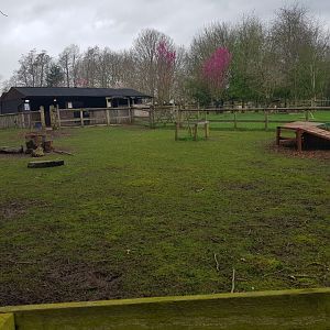 Capybara Enclosure