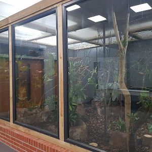 Pygmy Marmoset Enclosure, under construction