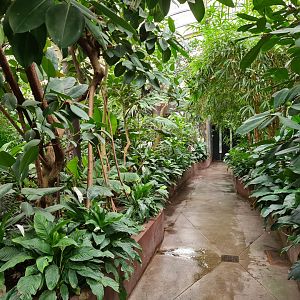 Victoria conservatory - General view