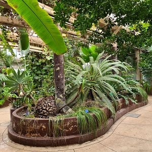 Victoria conservatory - General view