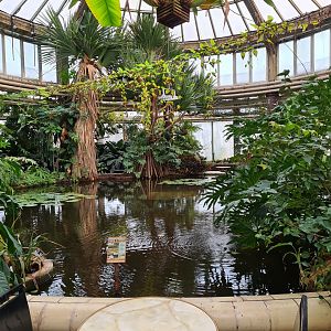 Victoria conservatory - General view