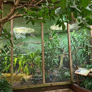 Victoria conservatory - Van Haren Carspel cage