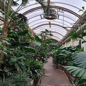 Victoria conservatory - General view