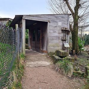 South America - Walkway past pudu enclosure