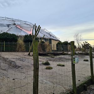 South America - Vicuña and Lesser rhea enclosure