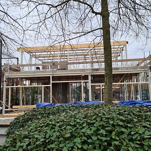 South America - Aviaries building site