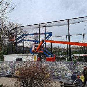 South America - Aviaries building site