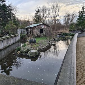 North America - Raccoon enclosure
