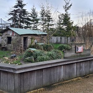 North America - Raccoon enclosure