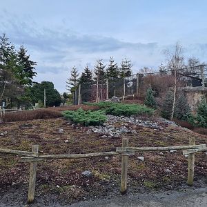 North America - Tundra environment