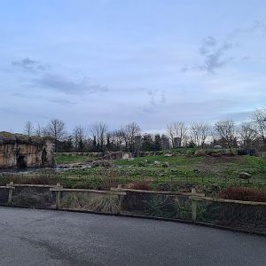 North America - Polar bear enclosure