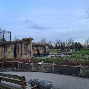 North America - Polar bear enclosure