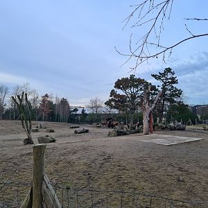 North America - American bison enclosure