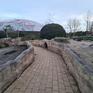 North America - Black-tailed prairiedog enclosure