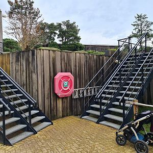 Oceanium - Stairs to sealion viewing area