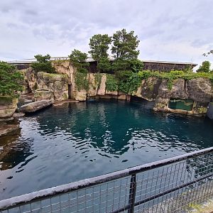 Oceanium - California sea lion enclosure