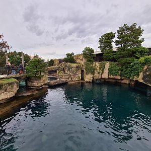 Oceanium - California sea lion enclosure