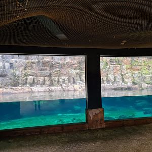 Oceanium - Bass Rock viewing point