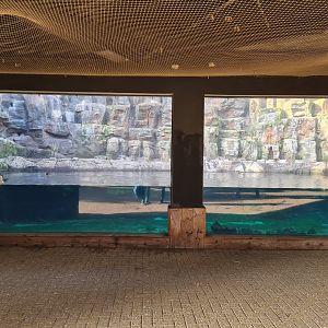 Oceanium - Bass Rock viewing point