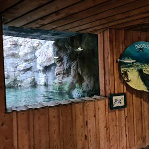 Oceanium - Bass Rock viewing point