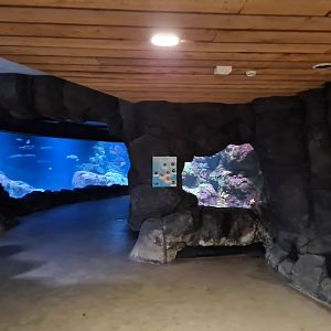 Oceanium - First area