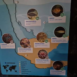 Oceanium - Rock cliff aquarium signage