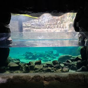 Oceanium - Aquarium between Tide pool area and Bass rock