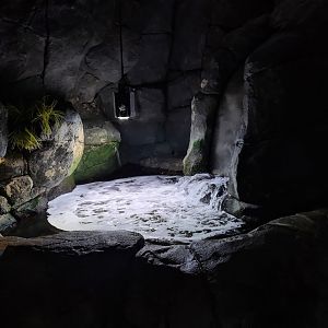 Oceanium - Wave tank