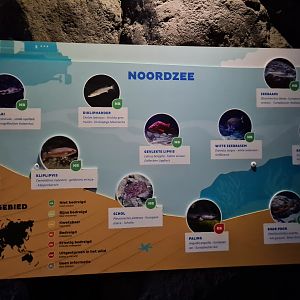 Oceanium - North Sea aquarium signage