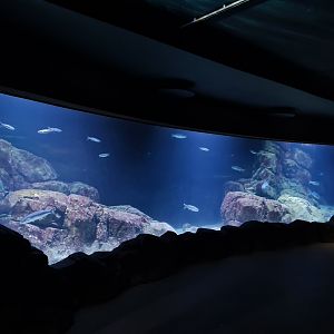 Oceanium - North Sea Aquarium