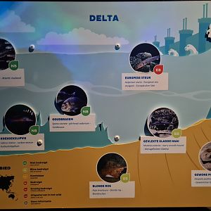 Oceanium - Delta aquarium signage