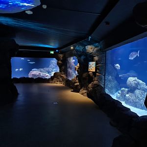 Oceanium - North sea area