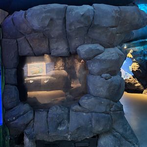 Oceanium - Empty aquarium