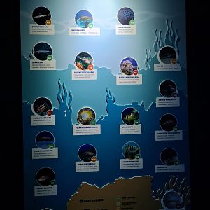 Oceanium - Endless Ocean aquarium signage