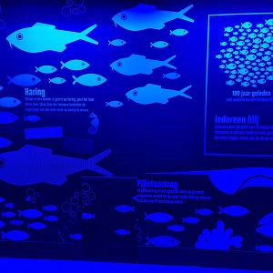 Oceanium - Information in Sea reserve room