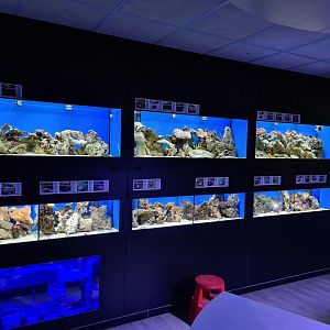 Oceanium - Ocean lab tanks