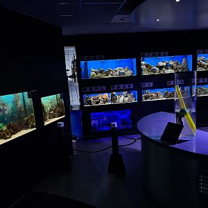 Oceanium - Ocean lab tanks