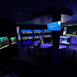 Oceanium - Ocean lab interior