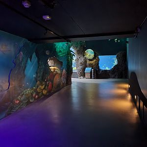 Oceanium - Walkway towards Great Barrier reef tunnel