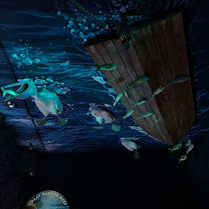 Oceanium - Roof near reef area