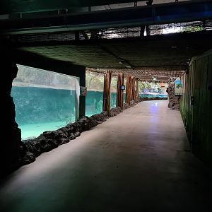 Oceanium - Entrance to Caribbean area