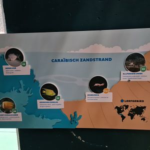 Oceanium - Caribbean beach signage