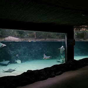 Oceanium - Caribbean beach aquarium