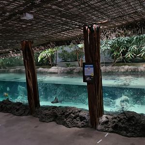 Oceanium - Caribbean beach aquarium