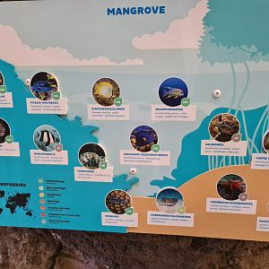 Oceanium - Mangrove aquarium signage