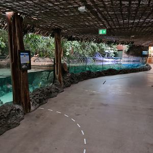 Oceanium - Mangrove aquarium