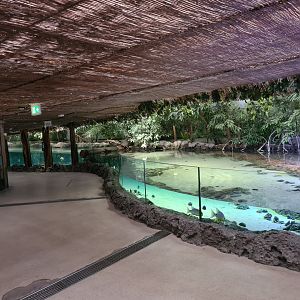 Oceanium - Mangrove aquarium